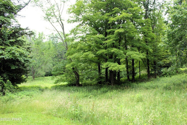 view of landscape