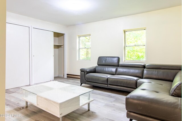 living room with light wood-type flooring