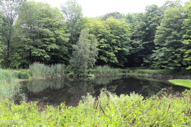 view of nature featuring a water view