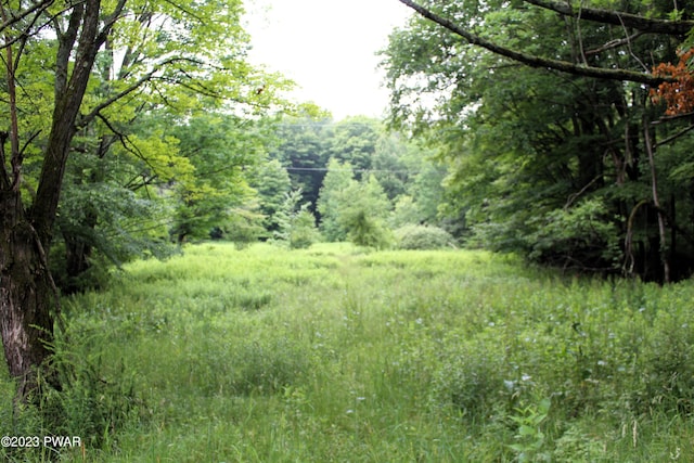 view of landscape