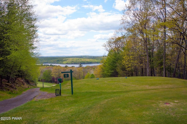 134 Laurel Hill Dr Unit 102, Greentown, PA 18426 - view of property's community featuring a water view, a view of trees, view of golf course, and a lawn