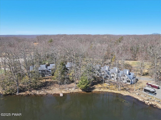 134 Laurel Hill Dr Unit 102, Greentown, PA 18426 - bird's eye view with a forest view and a water view