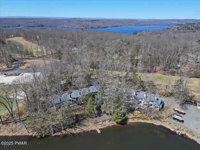 134 Laurel Hill Dr Unit 102, Greentown, PA 18426 - aerial view with a water view