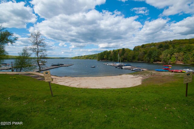 134 Laurel Hill Dr Unit 102, Greentown, PA 18426 - water view with a view of trees and a dock