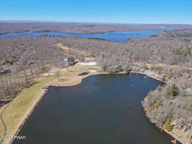 134 Laurel Hill Dr Unit 102, Greentown, PA 18426 - aerial view with a water view