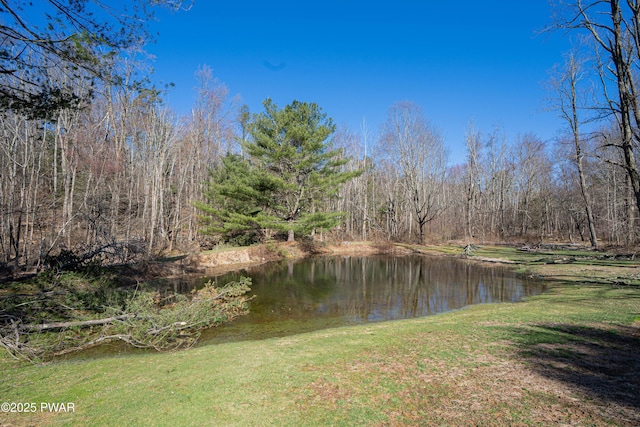 477 Purdytown Tpke, Lakeville, PA 18438 - view of water feature with a wooded view