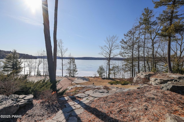 130 Calico Ct, Paupack, PA 18451 - water view