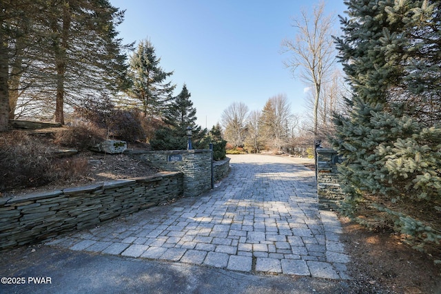 130 Calico Ct, Paupack, PA 18451 - view of road featuring driveway