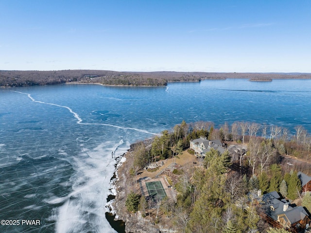 130 Calico Ct, Paupack, PA 18451 - property view of water