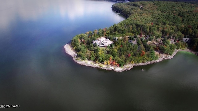 130 Calico Ct, Paupack, PA 18451 - aerial view featuring a view of trees and a water view