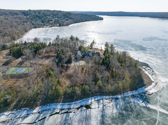 130 Calico Ct, Paupack, PA 18451 - drone / aerial view with a water view and a wooded view