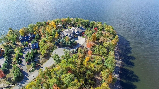 130 Calico Ct, Paupack, PA 18451 - aerial view featuring a water view