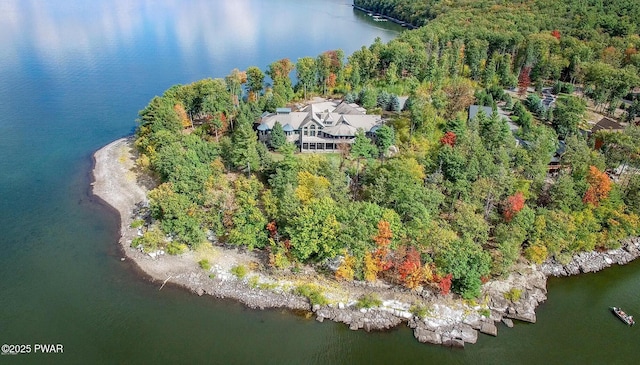 130 Calico Ct, Paupack, PA 18451 - drone / aerial view featuring a view of trees and a water view