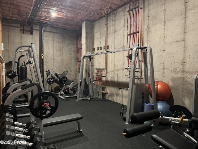 130 Calico Ct, Paupack, PA 18451 - view of exercise area