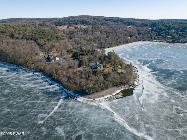 130 Calico Ct, Paupack, PA 18451 - birds eye view of property with a forest view and a water view