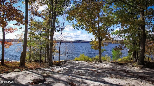 130 Calico Ct, Paupack, PA 18451 - water view