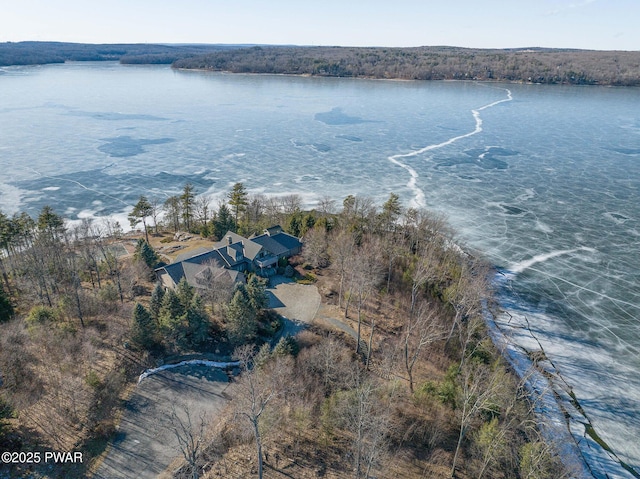 130 Calico Ct, Paupack, PA 18451 - aerial view featuring a water view and a view of trees