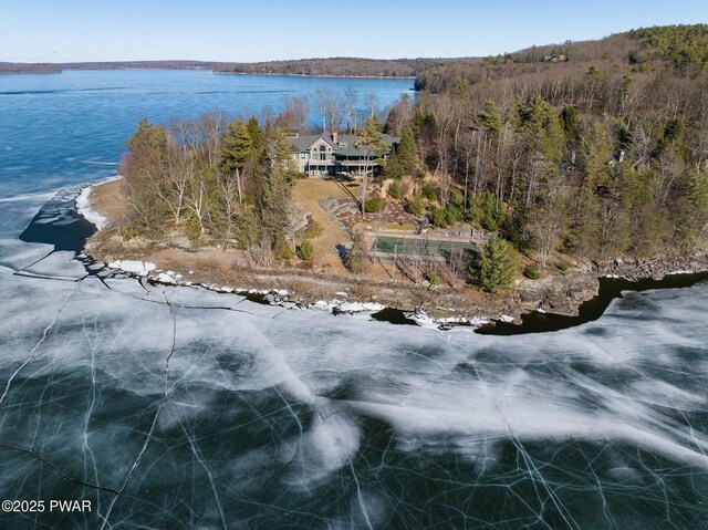 130 Calico Ct, Paupack, PA 18451 - birds eye view of property with a forest view and a water view