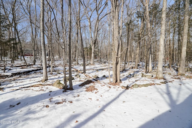 view of yard covered in snow