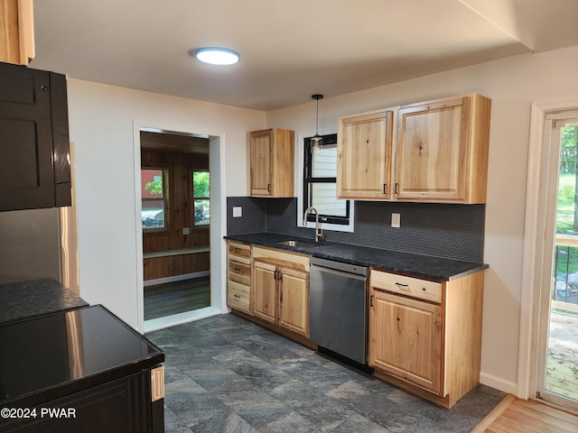 kitchen with decorative light fixtures, stainless steel dishwasher, plenty of natural light, and sink