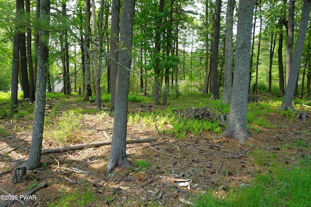 LOT97 S Nichecronk Rd, Dingmans Ferry, PA 18328