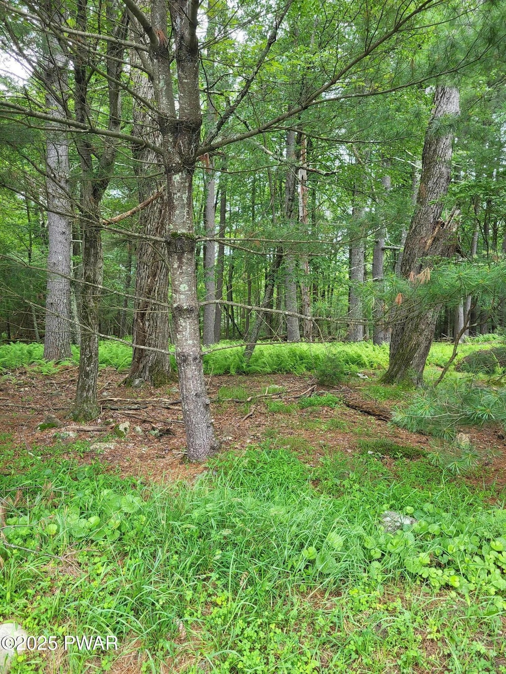 LOT97 S Nichecronk Rd, Dingmans Ferry, PA 18328