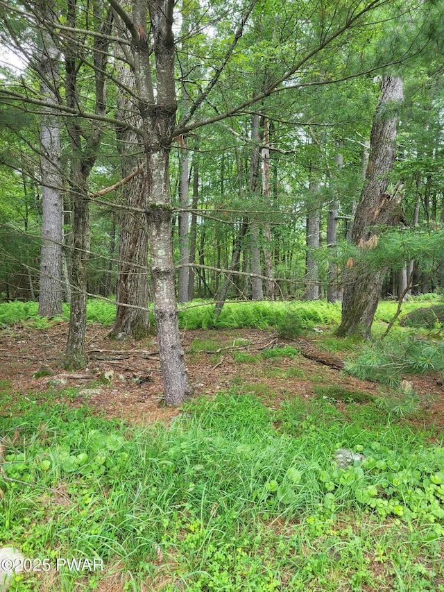 LOT97 S Nichecronk Rd, Dingmans Ferry, PA 18328