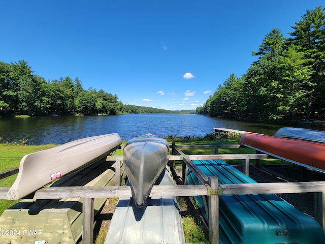 dock area with a water view