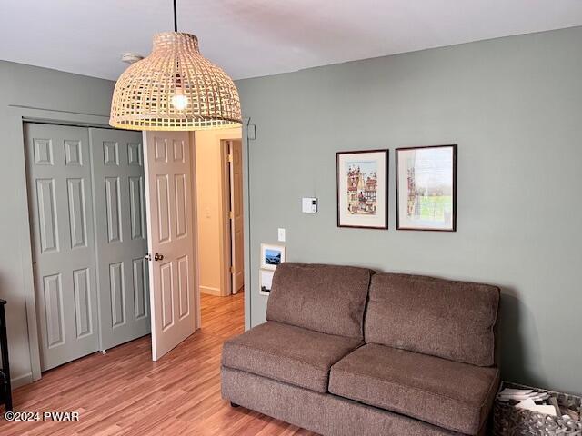 living room featuring light wood-type flooring