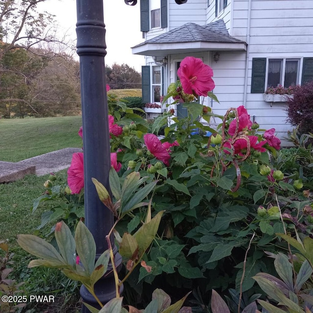 7 Terrace Ln, Tyler Hill, PA 18469 - photo 38