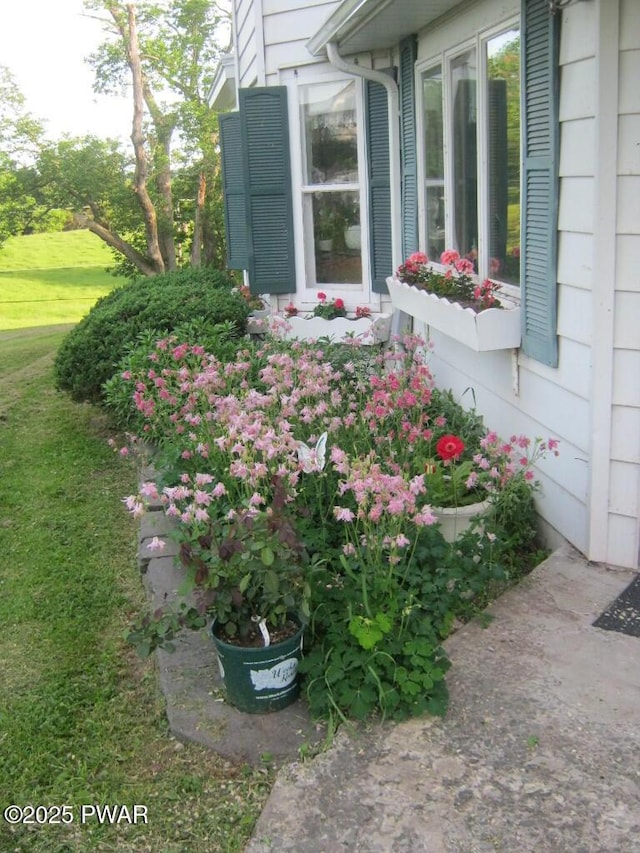 7 Terrace Ln, Tyler Hill, PA 18469 - photo 5