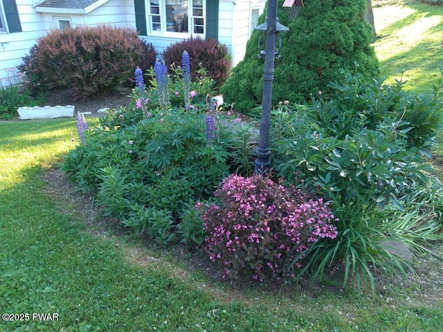 7 Terrace Ln, Tyler Hill, PA 18469 - photo 39