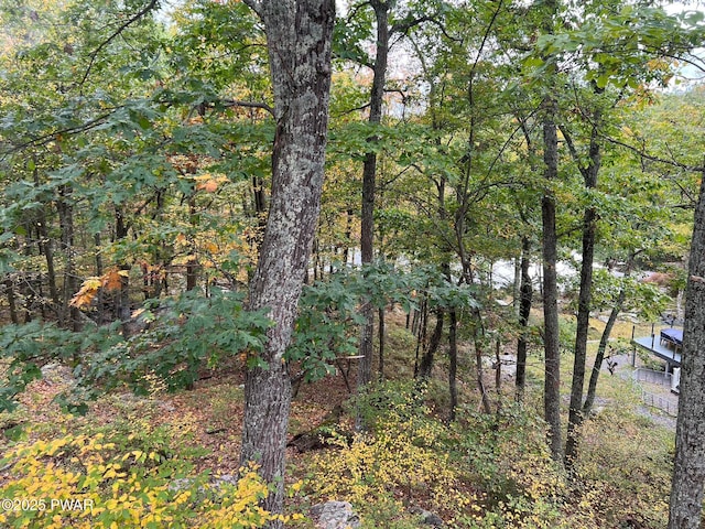 105 Cliff Dr, Lords Valley, PA 18428 - photo 35