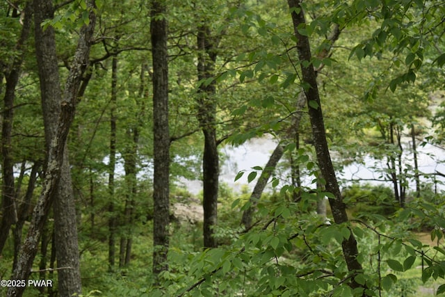 105 Cliff Dr, Lords Valley, PA 18428 - photo 2