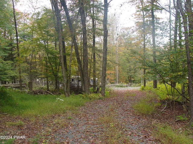 Rte 191, Cresco PA, 18326 land for sale