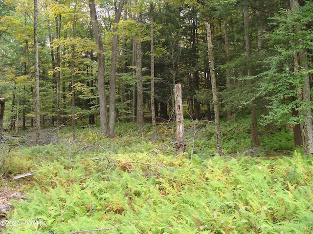 Rte 191, Cresco, PA 18326 - photo 11