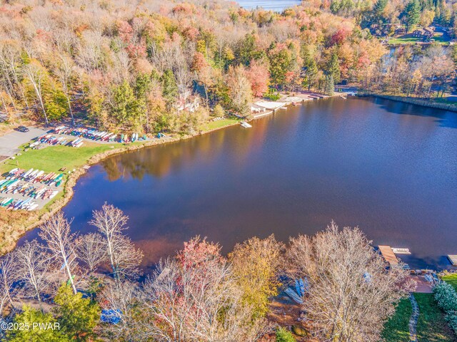 1706 Windemere Ct, Lake Ariel, PA 18436 - bird's eye view of a large body of water