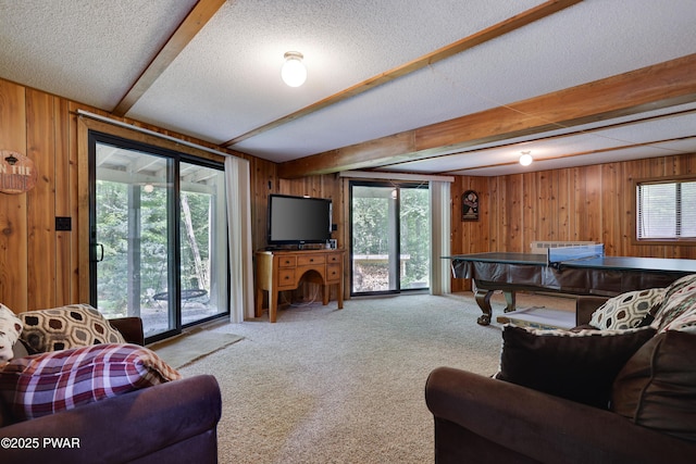 1706 Windemere Ct, Lake Ariel, PA 18436 - living room with wooden walls, carpet, beamed ceiling, and a textured ceiling