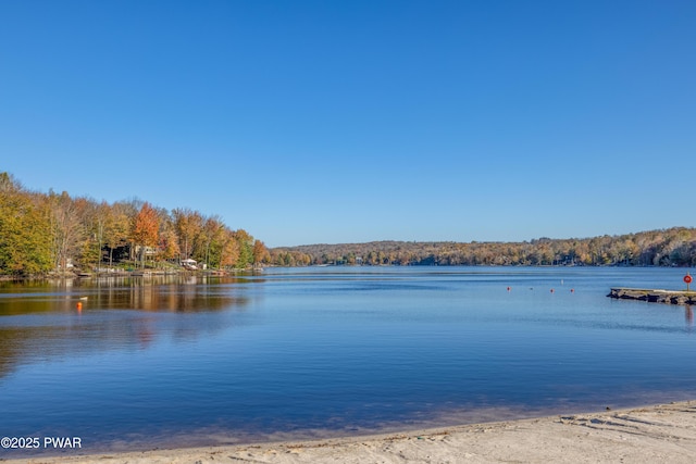 1706 Windemere Ct, Lake Ariel, PA 18436 - water view featuring a heavily wooded area