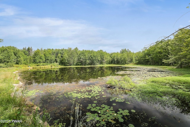 1706 Windemere Ct, Lake Ariel, PA 18436 - view of tree filled area with a water view