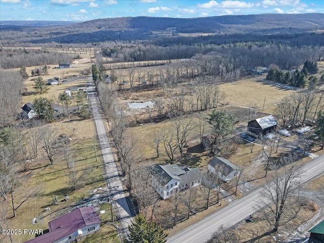 drone / aerial view