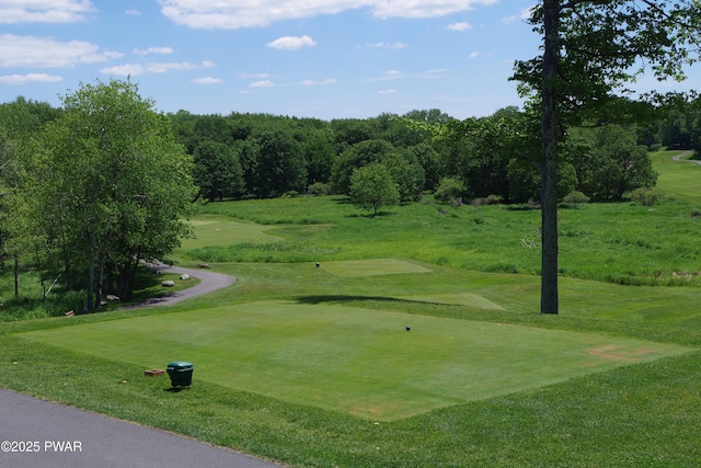 19 Cherokee Ct Lot 4168, Lake Ariel, PA 18436 - view of property's community with golf course view