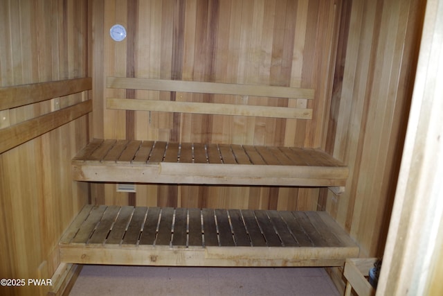 19 Cherokee Ct Lot 4168, Lake Ariel, PA 18436 - relaxing sauna / steam room featuring wood walls
