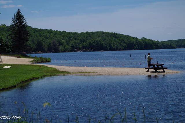 19 Cherokee Ct Lot 4168, Lake Ariel, PA 18436 - water view with a forest