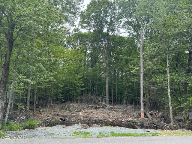 19 Cherokee Ct Lot 4168, Lake Ariel, PA 18436 - view of tree filled area