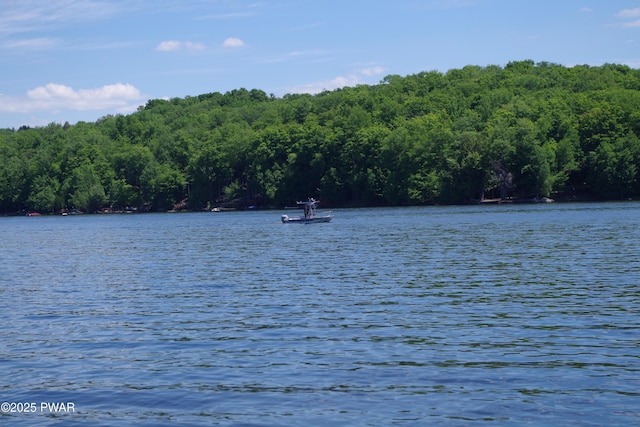19 Cherokee Ct Lot 4168, Lake Ariel, PA 18436 - water view with a forest