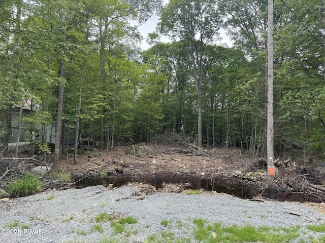 19 Cherokee Ct Lot 4168, Lake Ariel, PA 18436 - photo 11