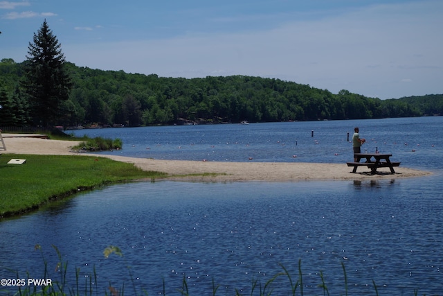 property view of water