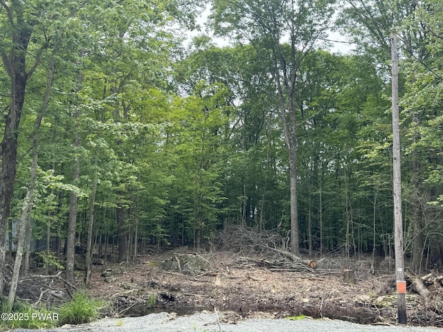 19 Cherokee Ct Lot 4168, Lake Ariel, PA 18436 - view of wooded area