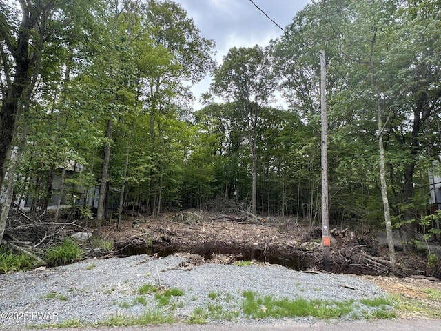 19 Cherokee Ct Lot 4168, Lake Ariel, PA 18436 - view of local wilderness